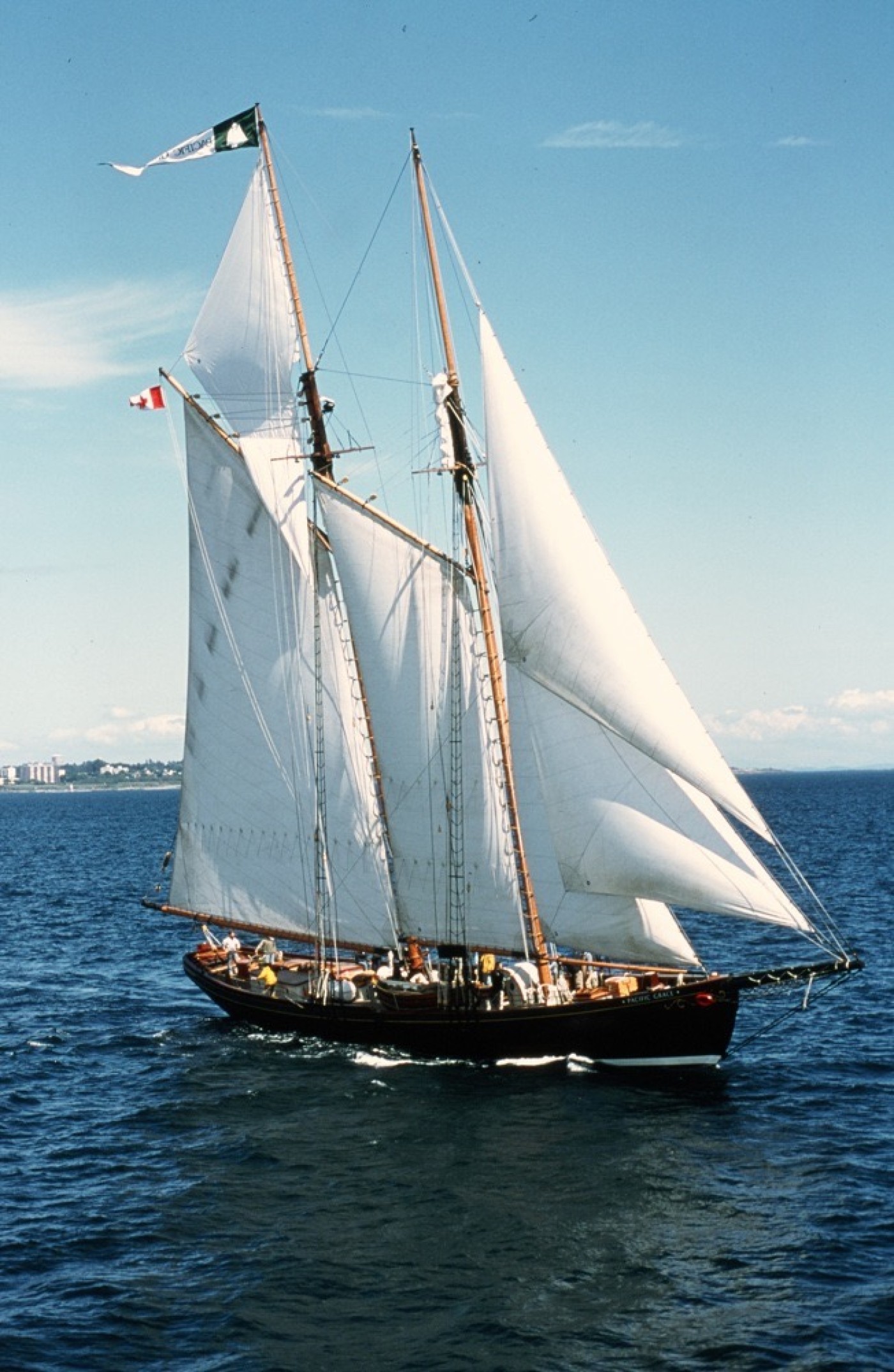 Pacific Grace and Pacific Swift