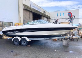 20' Sea Ray 200 Sport